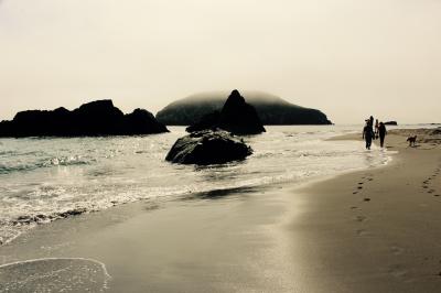 キャンプしに、はるばるオレゴン、カリフォルニア　Day ３-３ (Harris Beach State Park 前編)