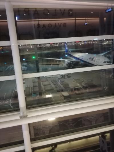 2017年 盛夏 羽田発NH深夜便でバリ島11日間（往路）