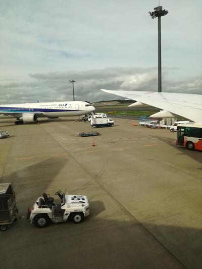 2017年盛夏 成田着夕刻NHバリ島11日間（復路）