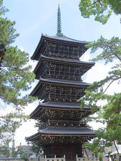 涼しい雲辺寺から暑さ半端ない善通寺へ