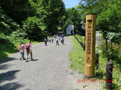 下北、津軽２大半島と世界遺産・白神山地　その１（白神山地）