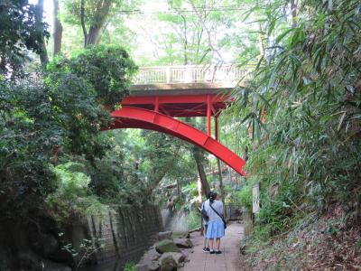 二子玉川から等々力渓谷へ