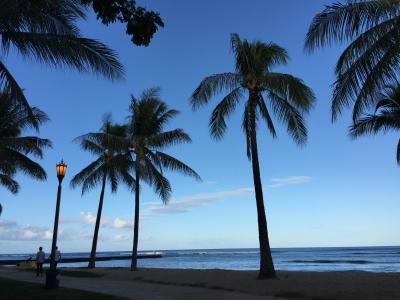 2017.7 ハワイひとり旅.2