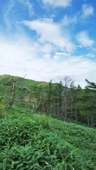 中央分水嶺を歩く ー ６　和田峠　～　三峰展望台