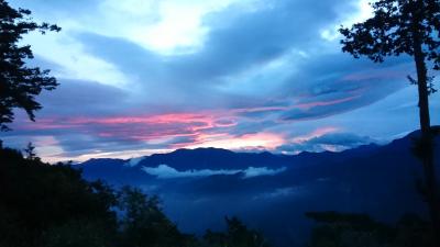 真夏の台北と阿里山観光