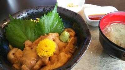 夏も制覇！キラキラ丼☆