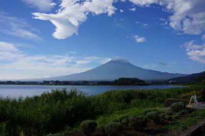 富士山と向日葵　2017　２日目