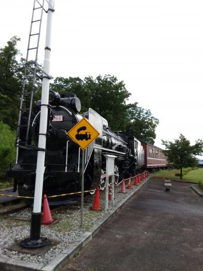 富山でSLハウスに宿泊&黒部牧場へ☆