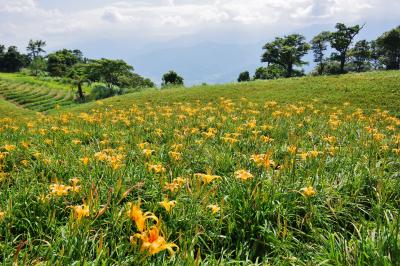 花蓮に関する旅行記・ブログ(6ページ)【フォートラベル】|台湾