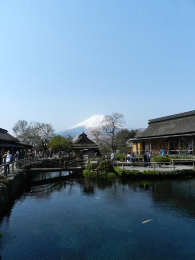 忍野八海と富士山と桜◆2016年4月／静岡＆山梨で富士山を愛でる旅《その７》