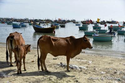 ベトナム中南部撮影旅行(4)　～ファンランからファンティエット～