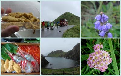 夏の礼文島ハイキング　~ウニと雨の岬と花と海と~2日目