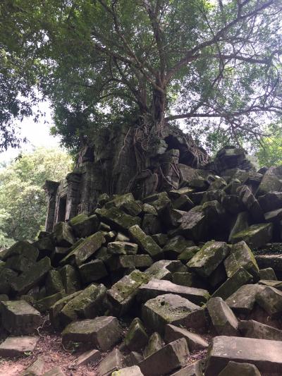 2017年8月カンボジア母子旅行【５日日】バンテアイ・スレイ、ベン・メリア