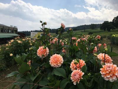 夏の終わりの信州へ