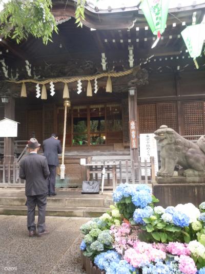 紫陽花と白山神社