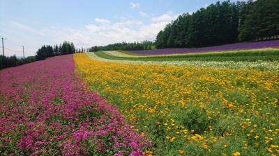 楽しんだぜ！！ ２０１７  北海道  『ファーム冨田＆メロンハウス＆ラベンダーイースト＆四季彩の丘に行き、札幌ドームでナイター観戦♪』IN  富良野、美瑛、札幌ドーム