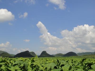 2017年　夏　雲南省の旅６