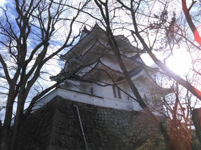 2017 03 伊賀忍者屋敷と上野城