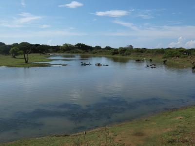 '16 GW 兄妹3人旅 スリランカ編-5 ~ヤーラ国立公園でサファリ~