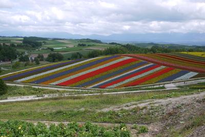 マイルで行く初めての北海道