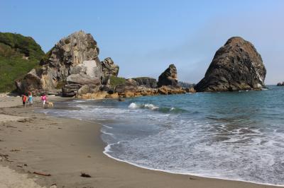 キャンプしに、はるばるオレゴン、カリフォルニア　Day ３-４ (Harris Beach State Park 後編)