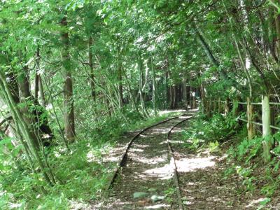 こんなところに線路が！　大畑森林鉄道跡