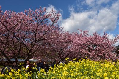 ２月のお花見　河津桜と伊豆アニマルキングダム