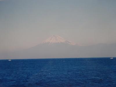 2003年(平成15年)1月 伊豆半島(修善寺温泉 戸田温泉)を義母･妻と車で回ります｡