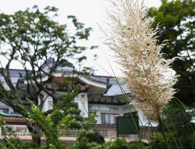 富士屋ホテルの紅葉はずっと先（9月4日）