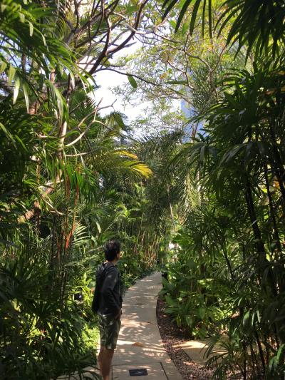 ずっと避けてたバンコク③ マッサージ最高♪やみつきになりそう