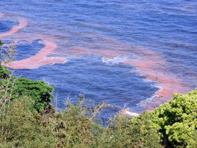 ０６．忘れ物を取りに行くＨＶＣ熱海伊豆山１泊　東急ハーヴェストクラブ熱海伊豆山&ＶＩＡＬＡ ＶＩＡＬＡ（ヴィアラ）デラックス天然温泉付きバリアフリー洋室その２　相模灘を行き交う船舶