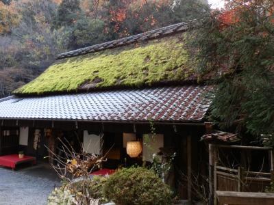  晩秋の京都を行くVol.2　栂尾高山寺~嵐山を歩く（栂尾⇒　高雄⇒　嵯峨）