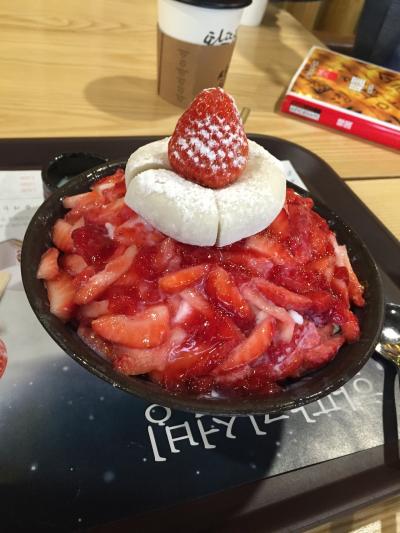 リピーターと初韓国、どっちも楽しい飲んだくれソウル2泊3日