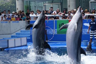 2017　あの３日間限りのイベント、別府温泉「湯～園地」に行ってきました。その２