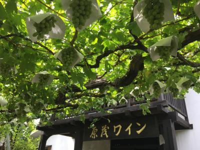 東京から出かけよう ～2017年夏休み 奥多摩・山梨ドライブ旅行～