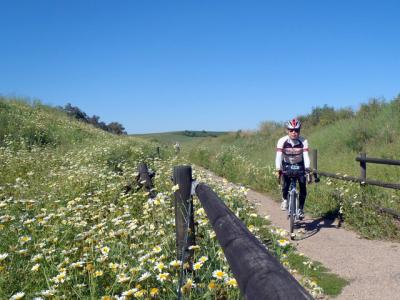 D8 コルドバからエシハへ、野草咲き乱れる廃線路跡Camino de la Campina