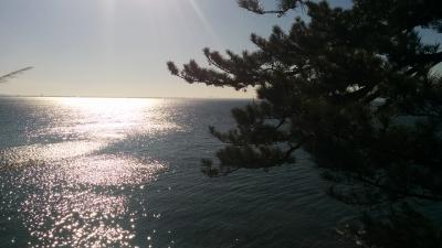 神々の島 竹島へ　蒲郡一泊二日旅行