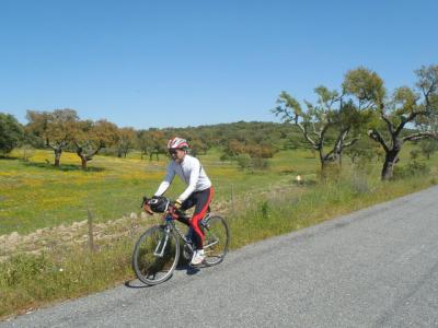 D13 水道橋、お城、内陸の農業地帯を抜け、エボラからベンダッシュ・ノバへ
