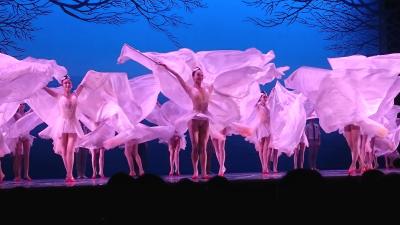 ２度観た上海歌劇団の舞劇「朱鷺」のカーテンコールの朱鷺の舞いをスマフォで