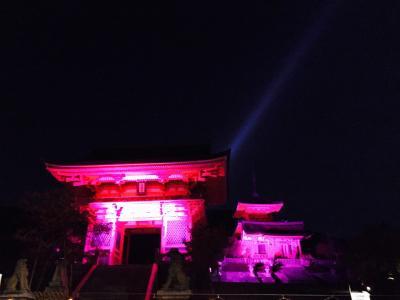 ミニトラベル記～1泊2日で紅葉前の京都を楽しむ