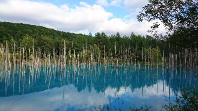 大人の北海道合宿＜前編＞