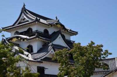 彦根といえば彦根城・ひこにゃんですね・・・行ってきました！