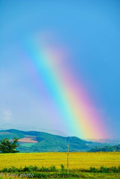 「月刊美瑛8月号　虹祭り」　☆特別付録タウシュベツ橋梁・シューパロ湖・知床付き☆