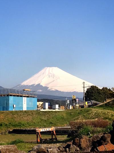 桜エビに黒卵