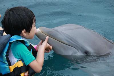 子連れカリブ海 No.11 コズメル島　ドルフィンエンカウンター＆スイム