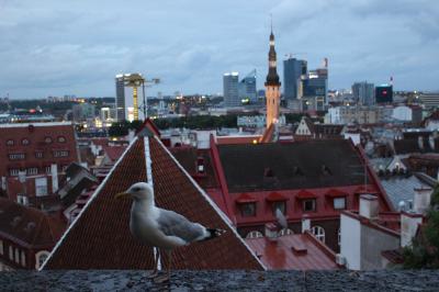【2017北欧から東欧へ】(2)エストニアのタリンへ
