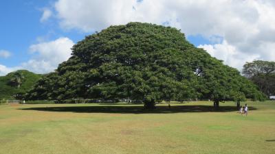 はじめてのハワイ－５日目