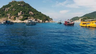 タオ島ダイビング旅行(セイルロック)②