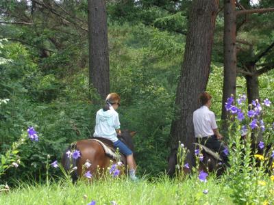 木曽　御岳　開田高原　中川村