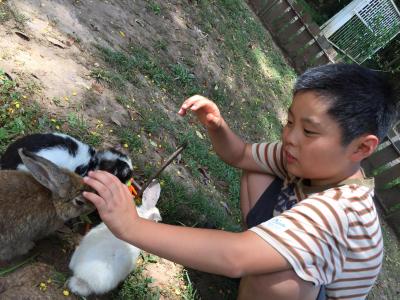 父ちゃんと息子の男旅 ⑨チェンマイ-3　～ 乗馬・ウサギ園・マーケット巡り ～